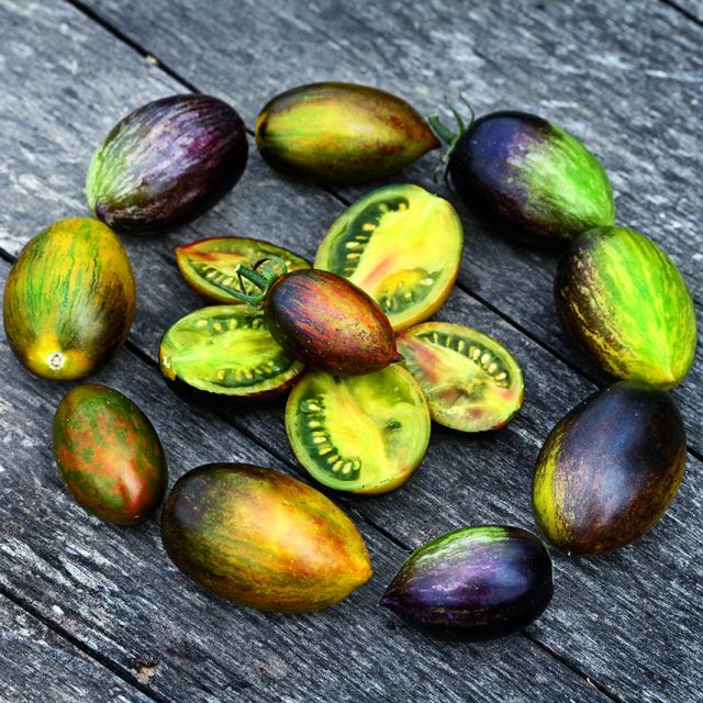 TOMATO PLANT BRADS ATOMIC GRAPE | SPRING 2025