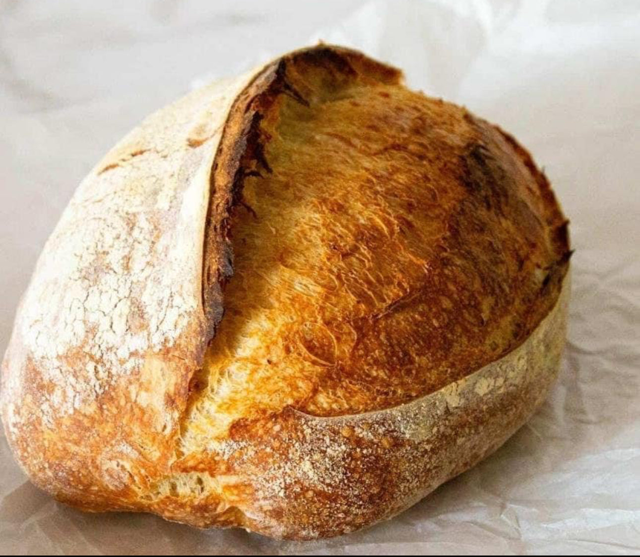 Affie | 239 year old heirloom Sourdough Starter