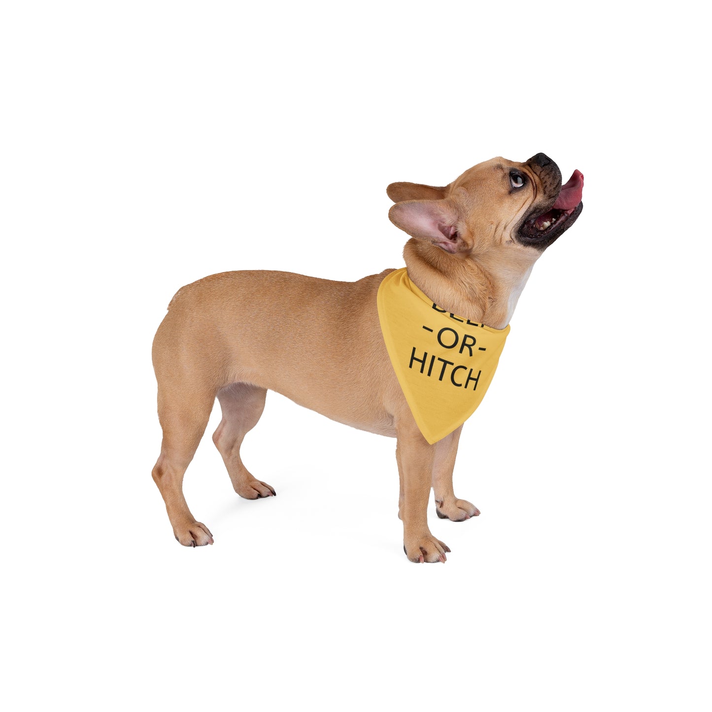 BEER or HITCH pet bandana