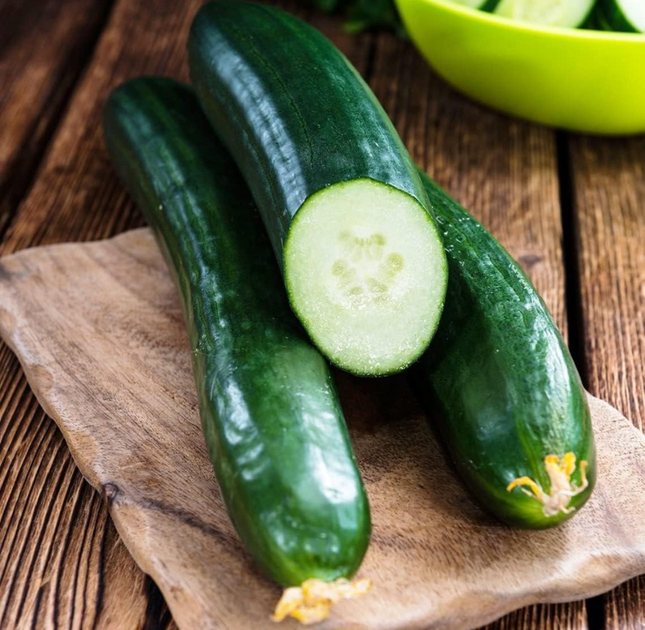 CUCUMBER PLANT | tendergreen burpless | canning | spring 2025