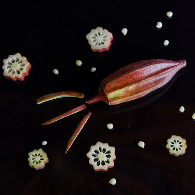 OKRA PLANT ALABAMA RED | spring preorder