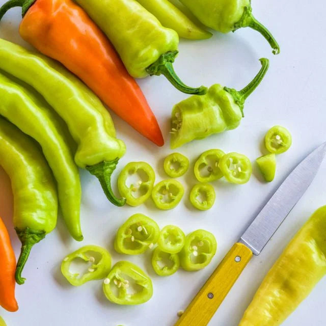 SWEET PEPPER PLANT | banana pepper | spring 2025