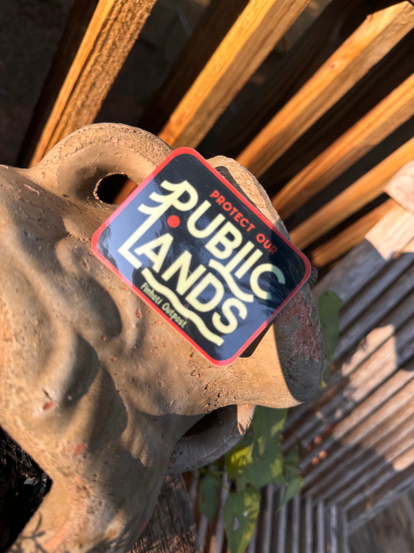 Protect Public Land Decal