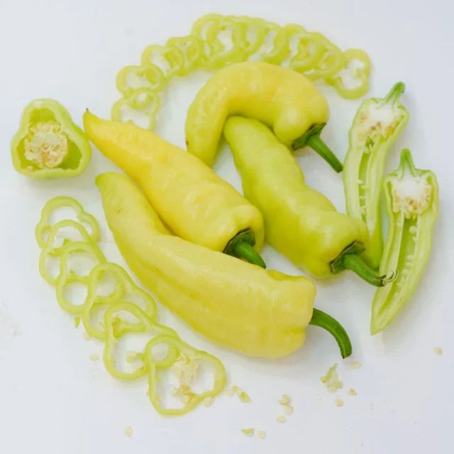 SWEET PEPPER PLANT | banana pepper | spring 2025