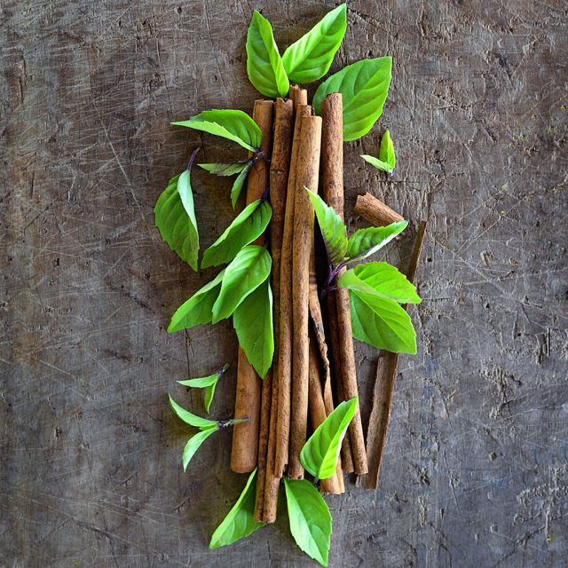 BASIL PLANT CINNAMON | SPRINT 2025