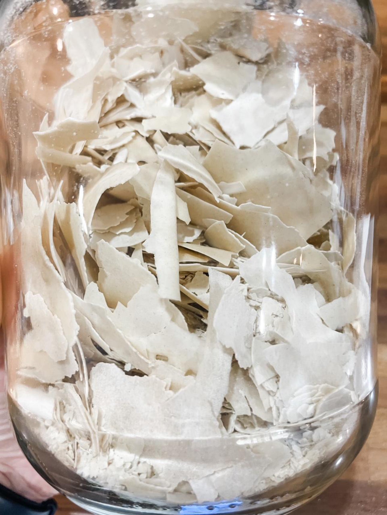 Affie | 239 year old heirloom Sourdough Starter