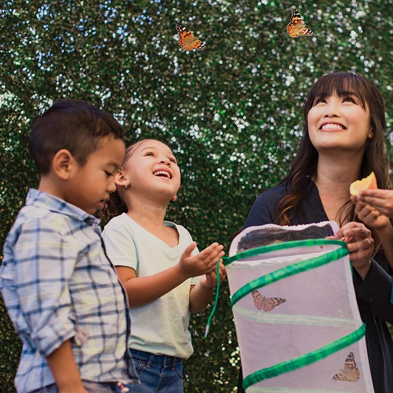 Butterfly Garden® Growing Kit with Voucher