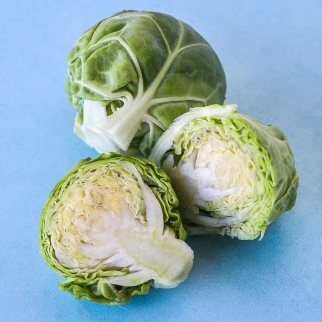 BRUSSEL SPROUTS | LONG ISLAND IMPROVED | BEST FOR FALL WINTER HARVEST