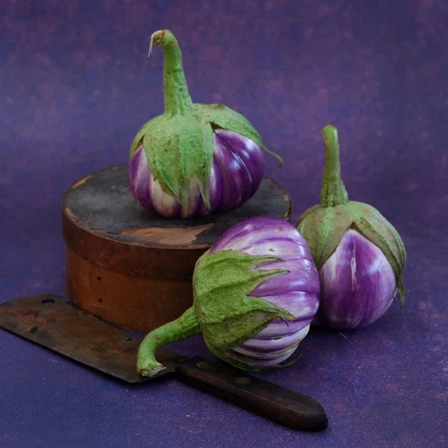 EGGPLANT ROSA BIANCA | SPRING 2025