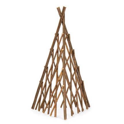 Acacia Expanding Trellis Floral Arrangements
