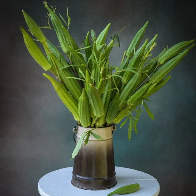 OKRA PLANT HEAVY HITTER | SPRING 2025