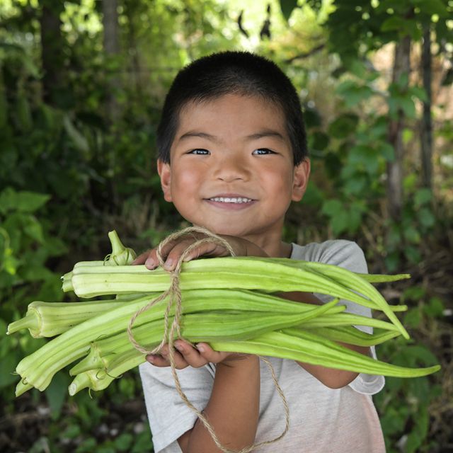 OKRA PLANT LOUISIANA 16 INCH | SPRING 2025