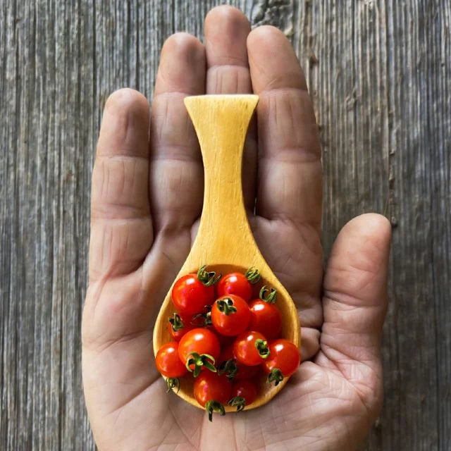 TOMATO PLANT SPOON | SPRING 2025