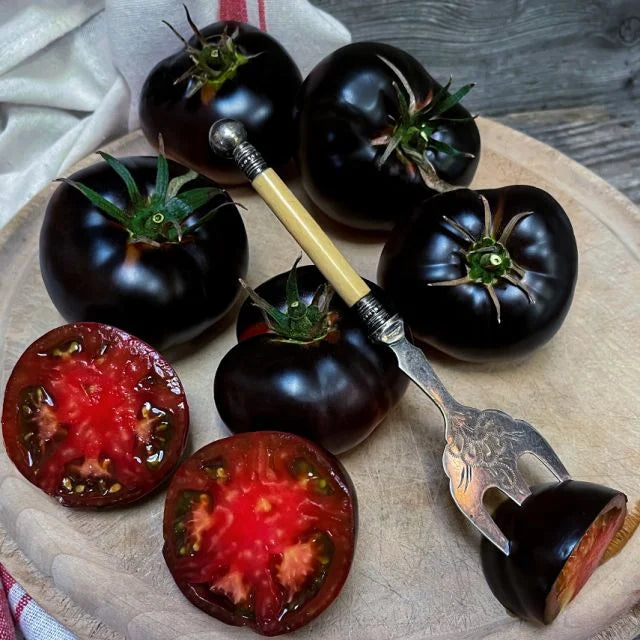 TOMATO PLANT BLACK BEAUTY | TOMATO SANDWICH QUEEN | SPRING 2025