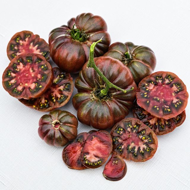 TOMATO PLANT PURPLE CALABASH | SPRING 2025