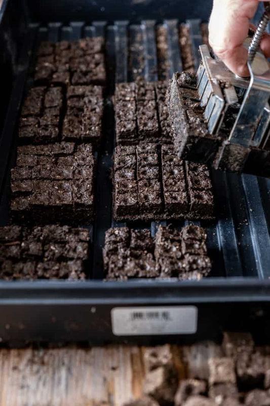 Elevate Your Homesteading with Soil Blocks This Spring