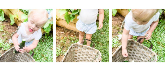 Grace & Sovereignty In Zucchini, Poop & A Sandbox In The Garden