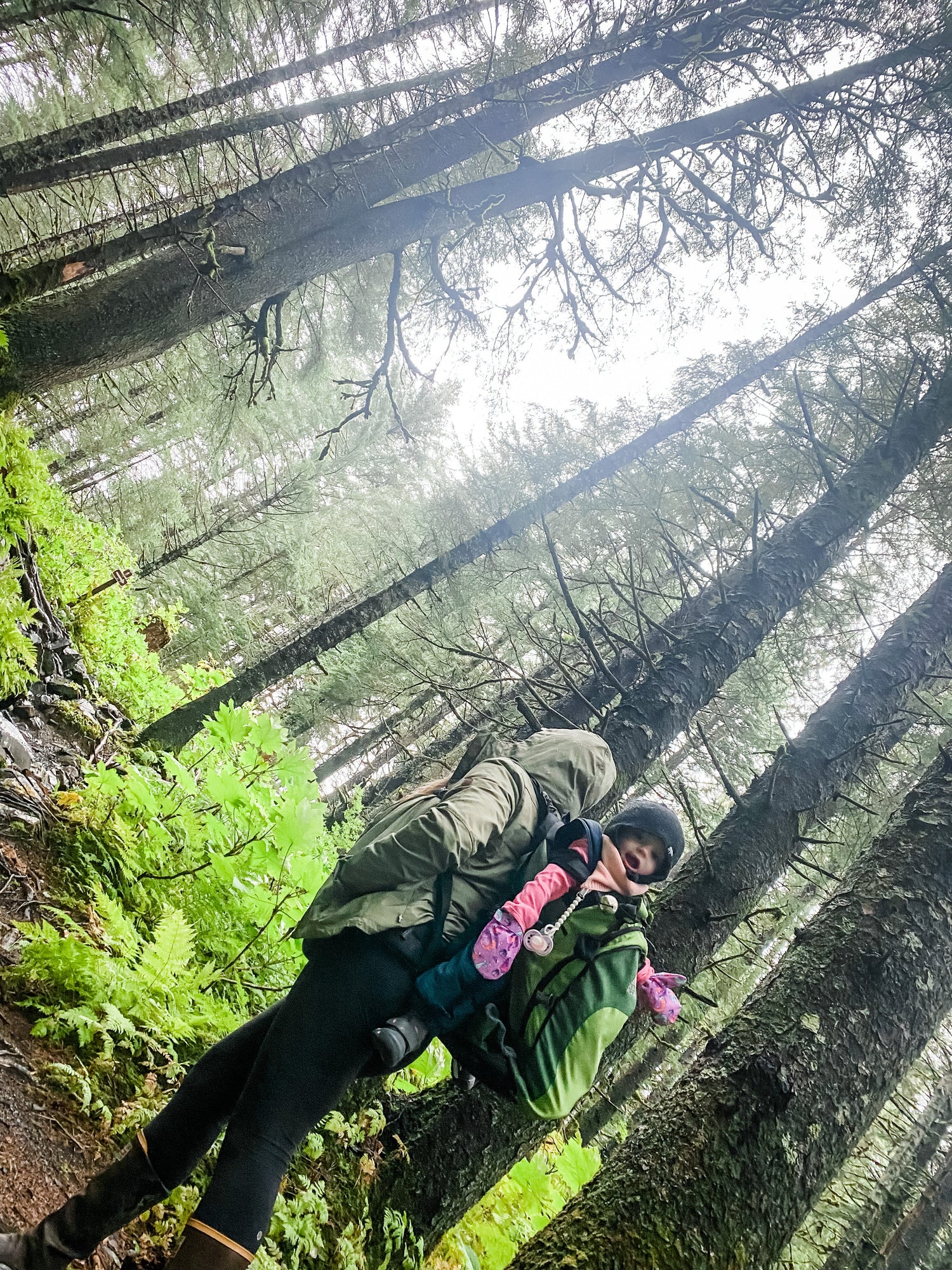 adventure