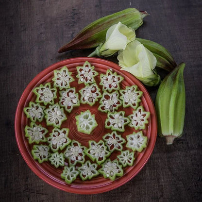 OKRA PLANT ALABAMA RED | spring preorder