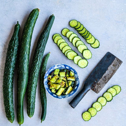 CUCUMBER  PLANT , CHINA JADE | Spring 2025