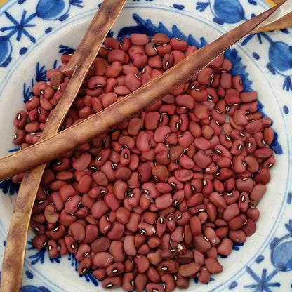 COWPEA PLANT | RED RIPPER | spring 2025