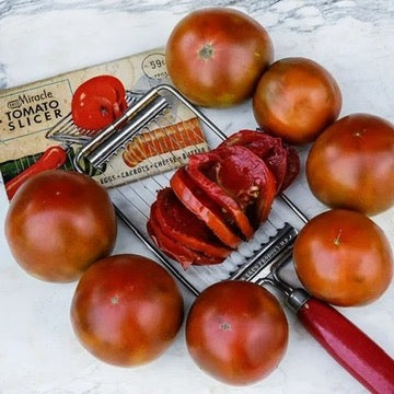 TOMATO PLANT BROWN SUGAR | SPRING 2025