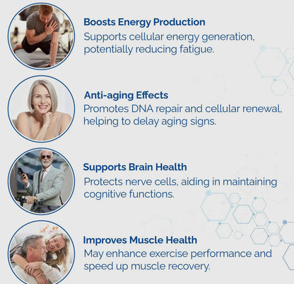 NAD Supplement 500mg