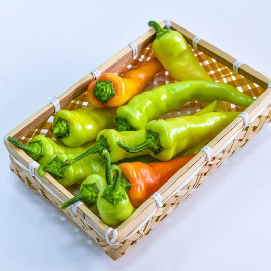 SWEET PEPPER PLANT | banana pepper | spring 2025