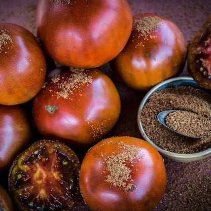 TOMATO PLANT BROWN SUGAR | SPRING 2025