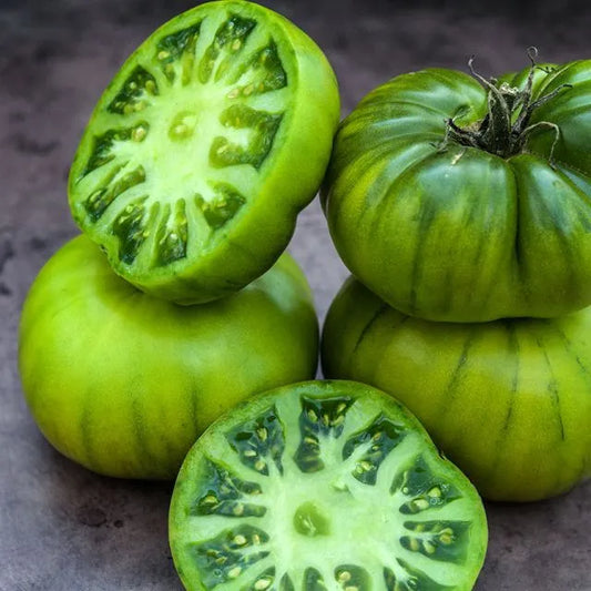 TOMATO PLANT GRANDMA OLIVERS GREEN| Spring 2025 Pre Order