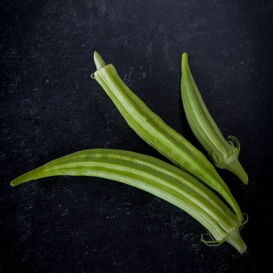 OKRA PLANT LOUISIANA 16 INCH | SPRING 2025
