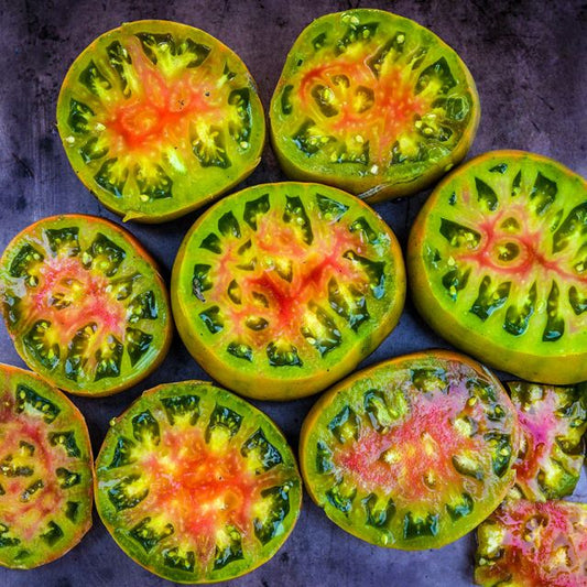 TOMATO PLANT ANANAS NOIR TOMATO OR BLACK PINEAPPLE