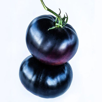 TOMATO PLANT BLACK BEAUTY | TOMATO SANDWICH QUEEN | SPRING 2025