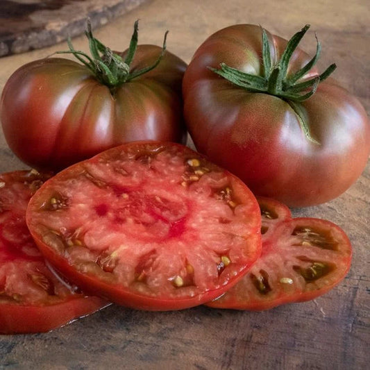 TOMATO PLANT TRUE BEEFSTEAK OR FEJEE IMPROVED