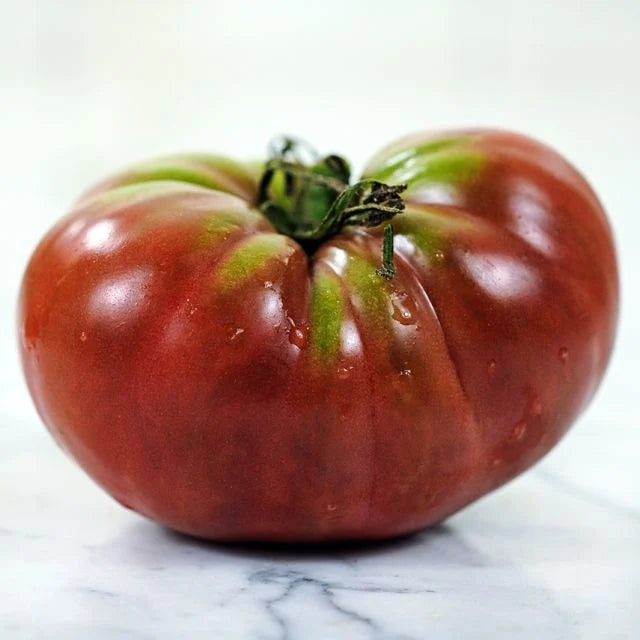 TOMATO PLANT TRUE BEEFSTEAK OR FEJEE IMPROVED