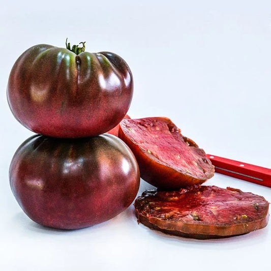 TOMATO PLANT TRUE BLACK BRANDYWINE | SPRING 2025